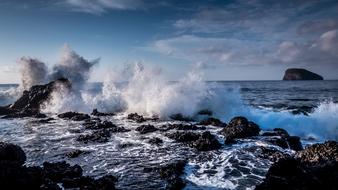 magnificent Ocean Surf