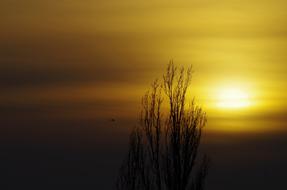 magnificent Sunset Evening