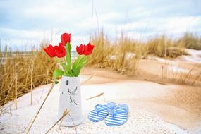 Sand Beach and Flip Flops