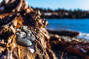 Close-up of the colorful rocks on the trunk on the beautiful coastlie