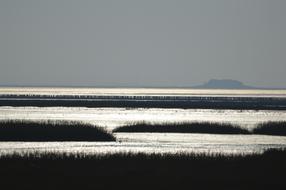 North Sea Hallig