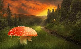 mystical image of a large fly agaric in a forest area