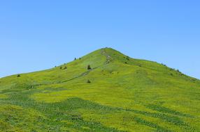 Beautiful green mountain, with the path and trees, under the blue sky