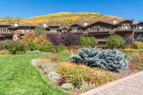 Fall Foliage garden