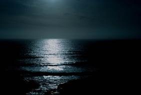 wonderful Night Beauty