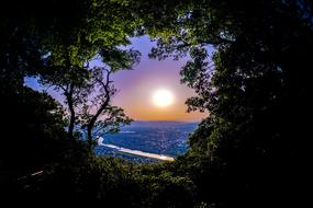 view from the forest to the sunset over the water