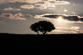 absolutely beautiful Sun Black