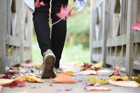 Leaf Fall walking person