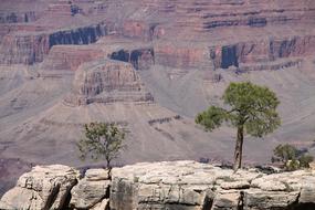 green trees among rocky landscape in colorado