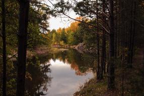 absolutely beautiful Landscape Forest