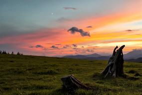 beautiful sunset on the meadow