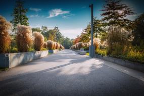 absolutely beautiful Park Empty