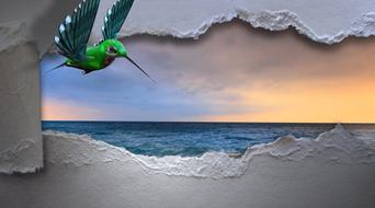 Hummingbird Sea Breakthrough drawing