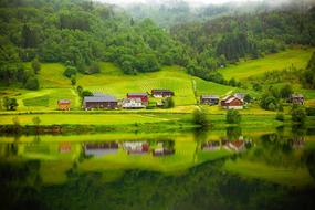 Fjord River green grass