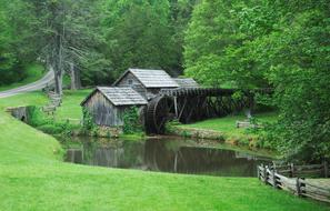 Water Wood house