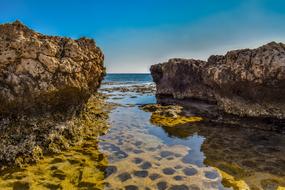 magnifice Sea Nature