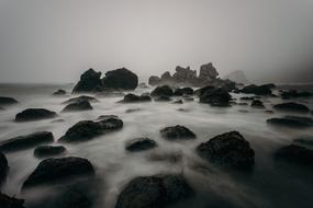 magnificent Beach Foggy Mist