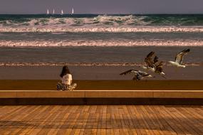 person Seaside Nature