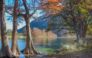 River and Trees Nature