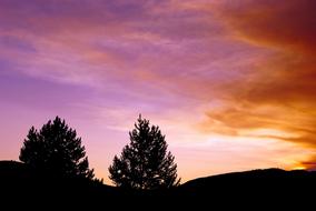 wonderful Custer Gallatin