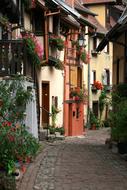 photo of an old narrow street in Eguisheim, France