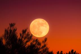 Harvest Moon Full