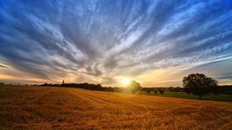 photo of dry yellow grass on a rural field