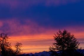 Nature Sunrise