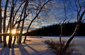 perfect Winter Landscape