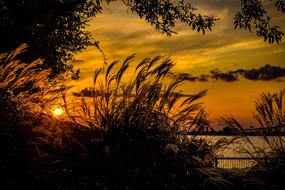 absolutely beautiful Sunset Water Orange