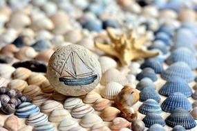 Mussels Beach stone
