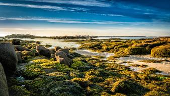 green stones on the coast of brittany