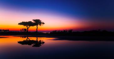 beautiful Panorama trees Sunset