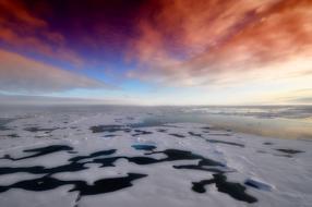 Arctic Sea