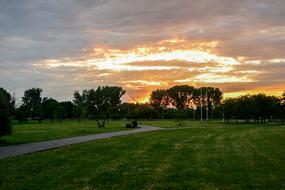 green meadow in central park at sunset
