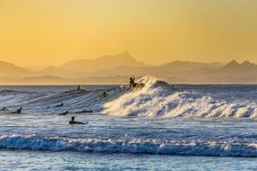 extraordinarily beautiful Surfer Sea