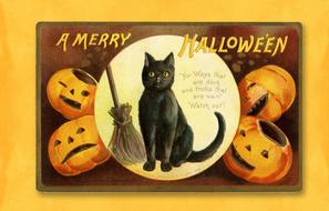 marry halloween vintage card drawing