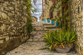 village Traditional street