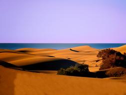 Dunes Sand brown