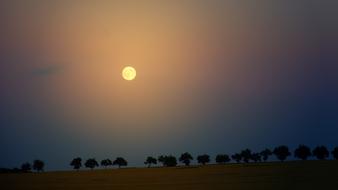 Moon at Night over Trees
