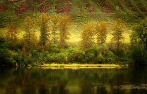 Landscape of Autumnal Nature