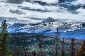 beautiful panorama of a mountain forest on a background of snowy rocks