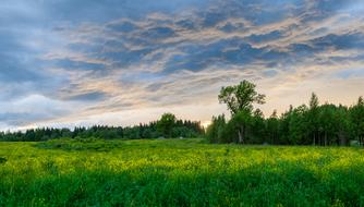 wonderful Panoramic Nature Landscape