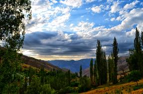 absolutely beautiful KaÃ§kars