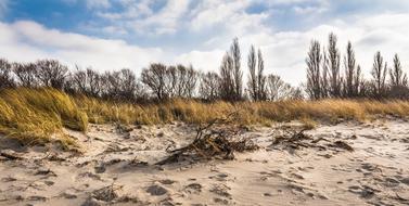 Coast Sand