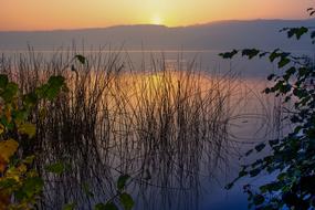 Beautiful Laacher lake at beautiful and colorful sunrise background in Rhineland Palatinate, Germany