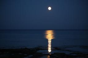 Full Moon Dusk