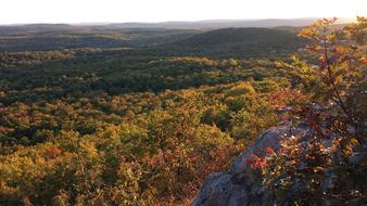 Trap Hills Michigan