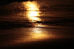 Sunrise Golden Glow
