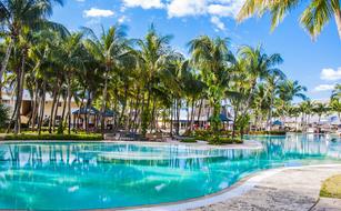 Palma Tropical Resort trees